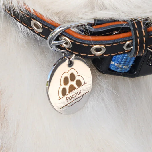 Round Stainless Steel Tag (5pcs)